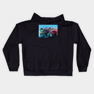 Colorful Fish in the Coral Kids Hoodie